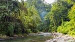 Rocky riverbed in the middle of a green forest in Southeast Asia