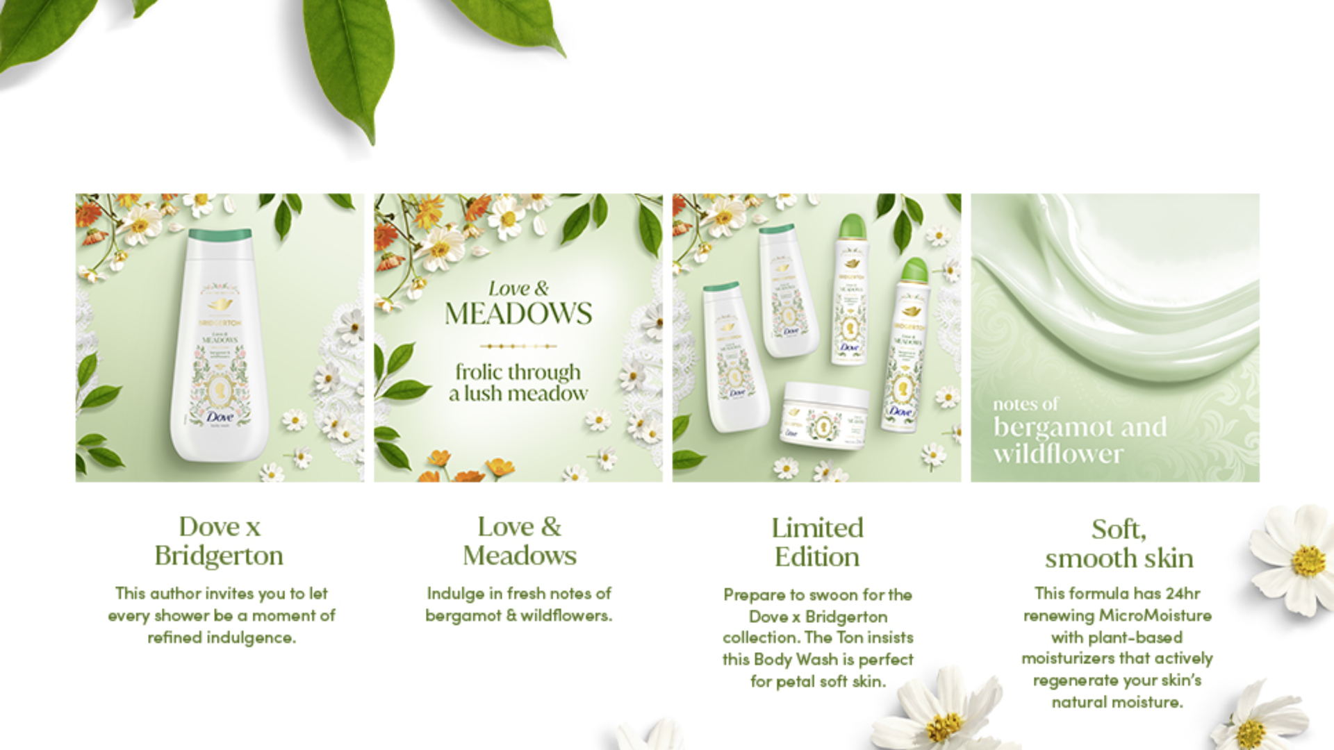 Dove bridgerton Love Meadows.