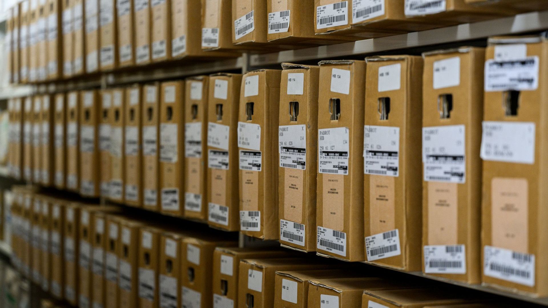 Rows of labeled cardboard inventory boxes stored on warehouse shelves