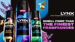 Lynx Fine Fragrance Collection