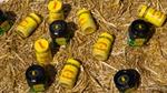 An image of some Colman's mustard packaging